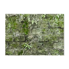 Old Stone Exterior Wall With Moss Crystal Sticker (a4) by dflcprintsclothing