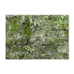 Old Stone Exterior Wall With Moss Crystal Sticker (A4) Front