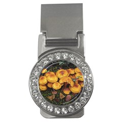 Orange Mushrooms In Patagonia Forest, Ushuaia, Argentina Money Clips (cz)  by dflcprintsclothing