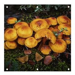 Orange Mushrooms In Patagonia Forest, Ushuaia, Argentina Banner And Sign 4  X 4  by dflcprintsclothing