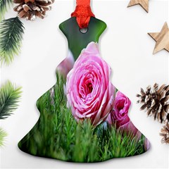 Flowers Ornament (christmas Tree)  by artworkshop