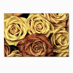 Flowers Roses Plant Bloom Blossom Postcards 5  X 7  (pkg Of 10) by Ravend