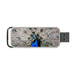 Peacock Bird Animal Feather Nature Colorful Portable Usb Flash (two Sides) by Ravend