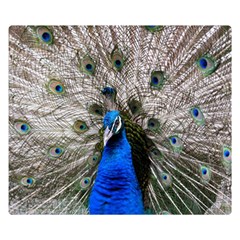 Peacock Bird Animal Feather Nature Colorful Premium Plush Fleece Blanket (small) by Ravend