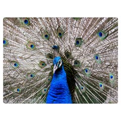 Peacock Bird Animal Feather Nature Colorful Premium Plush Fleece Blanket (extra Small) by Ravend