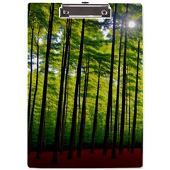 Green Forest Jungle Trees Nature Sunny A4 Acrylic Clipboard by Ravend