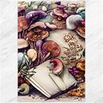 Toadstools And Charms For Necromancy And Conjuration Canvas 24  x 36  23.35 x34.74  Canvas - 1