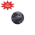 Peacock Feathers Peacock Bird Feathers 1  Mini Magnet (10 pack)  Front