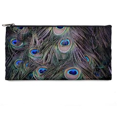 Peacock Feathers Peacock Bird Feathers Pencil Case by Jancukart