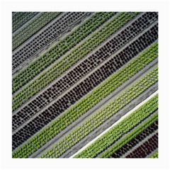 Field Agriculture Farm Stripes Diagonal Medium Glasses Cloth by Jancukart