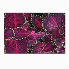 Abstract Beautiful Beauty Bright Postcards 5  X 7  (pkg Of 10) by Semog4