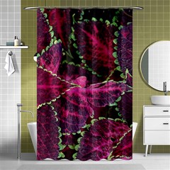 Abstract Beautiful Beauty Bright Shower Curtain 48  X 72  (small)  by Semog4