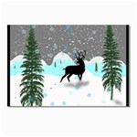 Rocky Mountain High Colorado Postcards 5  x 7  (Pkg of 10) Front