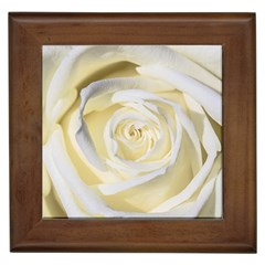 White Roses Flowers Plant Romance Blossom Bloom Nature Flora Petals Framed Tile by pakminggu