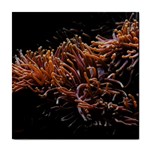 Sea Anemone Coral Underwater Ocean Sea Water Tile Coaster Front