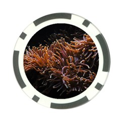 Sea Anemone Coral Underwater Ocean Sea Water Poker Chip Card Guard (10 Pack) by pakminggu