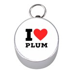 I love plum Mini Silver Compasses Front