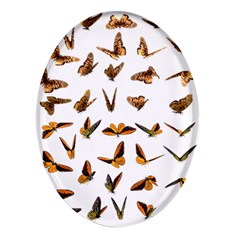 Butterfly Butterflies Insect Swarm Oval Glass Fridge Magnet (4 Pack) by 99art