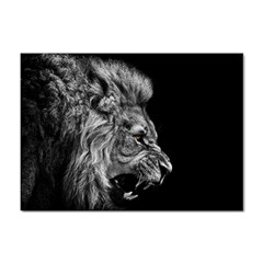 Angry Male Lion Roar Sticker A4 (100 Pack) by Wav3s