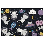 Space Cat Illustration Pattern Astronaut Banner and Sign 6  x 4  Front