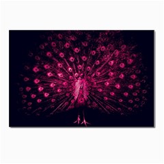 Peacock Pink Black Feather Abstract Postcards 5  X 7  (pkg Of 10) by Wav3s