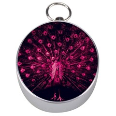 Peacock Pink Black Feather Abstract Silver Compasses by Wav3s