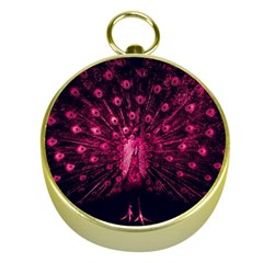 Peacock Pink Black Feather Abstract Gold Compasses by Wav3s