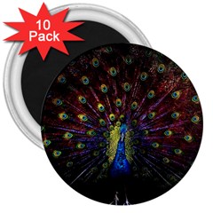 Peacock Feathers 3  Magnets (10 Pack)  by Wav3s