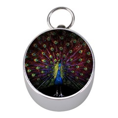 Peacock Feathers Mini Silver Compasses by Wav3s