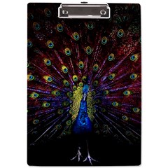 Peacock Feathers A4 Acrylic Clipboard by Wav3s