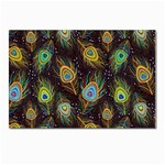 Pattern Feather Peacock Postcards 5  x 7  (Pkg of 10) Front