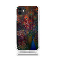 Red Peacock Feather Iphone 11 Tpu Uv Print Case by Cowasu