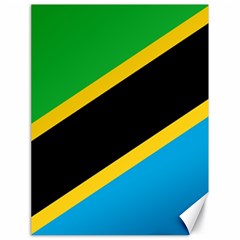 Flag Of Tanzania Canvas 18  X 24  by Amaryn4rt