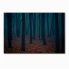 Dark Forest Nature Postcards 5  X 7  (pkg Of 10) by Ravend