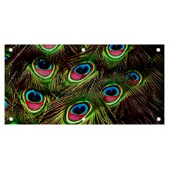 Peacock Feathers Color Plumage Banner And Sign 6  X 3  by Celenk