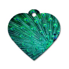 Green And Blue Peafowl Peacock Animal Color Brightly Colored Dog Tag Heart (one Side) by uniart180623