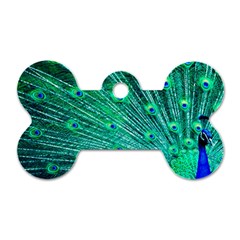 Green And Blue Peafowl Peacock Animal Color Brightly Colored Dog Tag Bone (one Side) by uniart180623