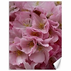 Cherry-blossoms Canvas 12  X 16  by Excel