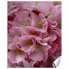 Cherry-blossoms Canvas 11  X 14  by Excel