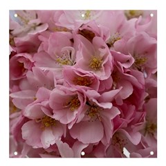 Cherry-blossoms Banner And Sign 4  X 4  by Excel