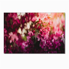 Pink Flower Postcards 5  X 7  (pkg Of 10) by artworkshop