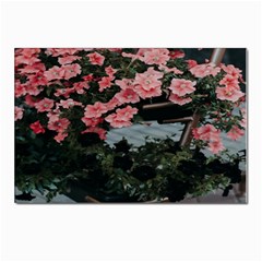 Pink Peony  Flower Postcards 5  X 7  (pkg Of 10) by artworkshop