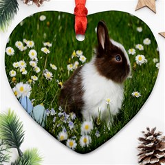 Rabbit Heart Ornament (two Sides) by artworkshop