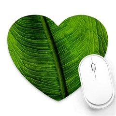 Green-leaf-plant-freshness-color Heart Mousepad by Bedest