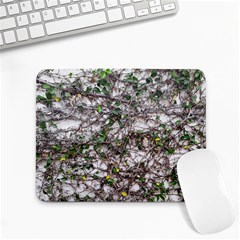 Climbing Plant At Outdoor Wall Small Mousepad by dflcprintsclothing