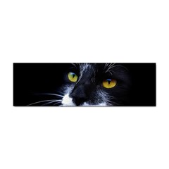 Face Black Cat Sticker Bumper (10 Pack) by Ket1n9