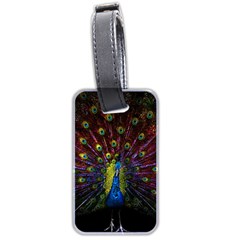 Beautiful Peacock Feather Luggage Tag (two Sides) by Ket1n9