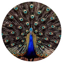 Peacock Round Trivet by Ket1n9