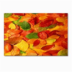 Leaves Texture Postcard 4 x 6  (pkg Of 10) by Ket1n9