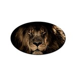 African-lion-mane-close-eyes Sticker (Oval) Front